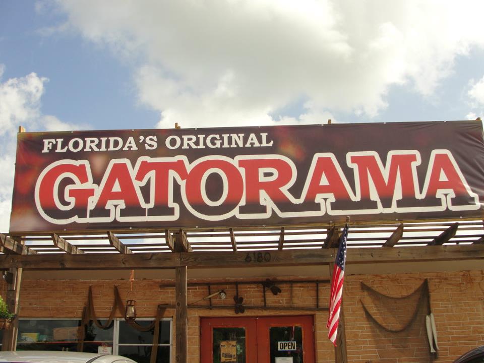 GATORAMA: BRAMIDOS, RUGIDOS E O ENCANTO DA VELHA FLÓRIDA