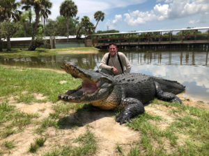 GATORAMA: BRAMIDOS, RUGIDOS E O ENCANTO DA VELHA FLÓRIDA