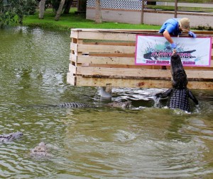 Gatorama