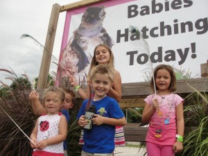Hatching History